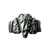 Nordische Ring