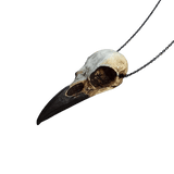 Schädel Halskette