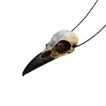 Schädel Halskette