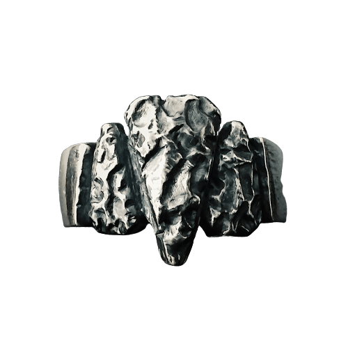 Nordische<br> Wikinger Ring