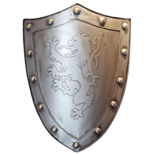 Rom<br> Wikinger Schild