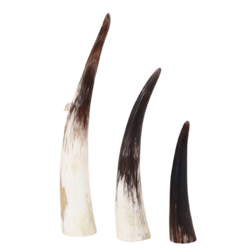 Dekoratives<br> Wikinger Hörner