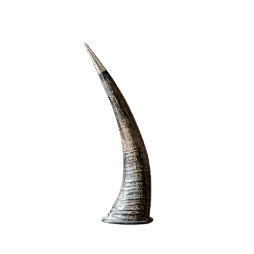 Viking<br> Wikinger Hörner