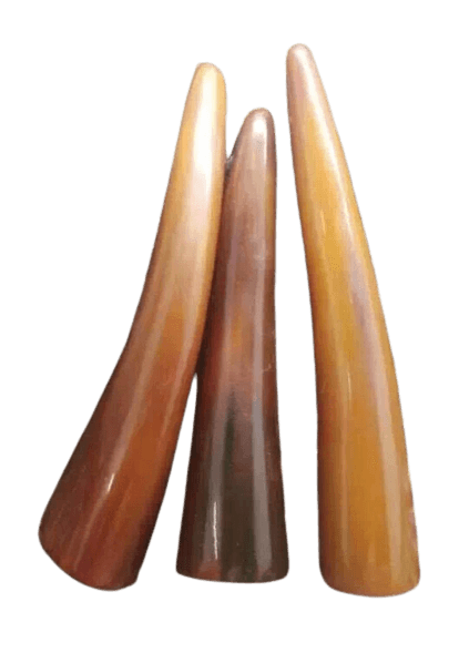 Natural<br> Wikinger Hörner