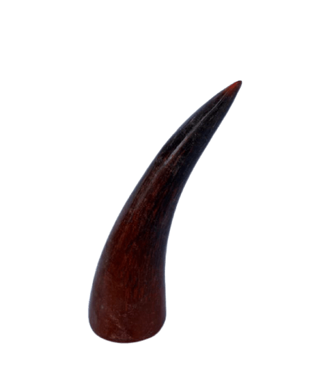 Natur<br> Wikinger Hörner